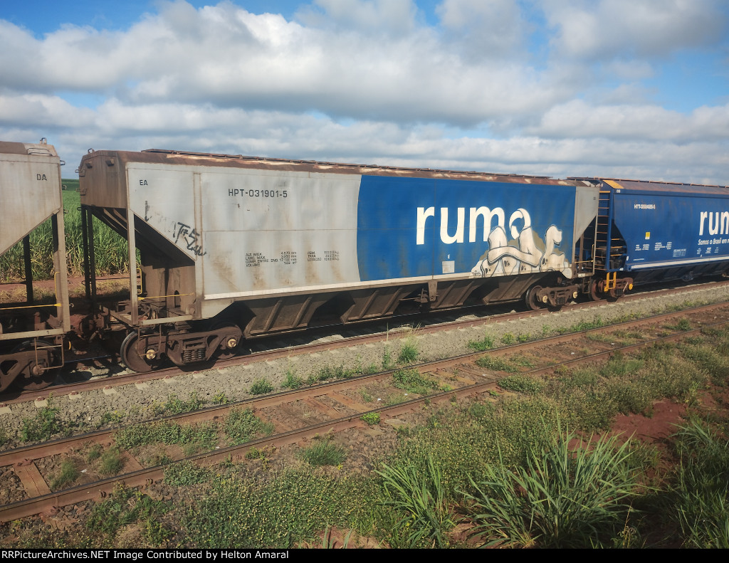 RUMO HPT-031901-5